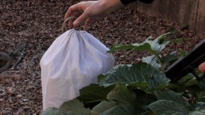 La Dernière fois où j’ai vu Macao, Joao Pedro Rodrigues & Joao Rui Guerra da Mata