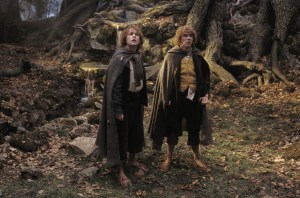 Le Seigneur des Anneaux : les Deux Tours