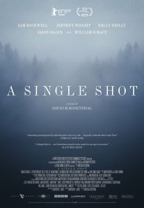 A Single Shot, David M. Rosenthal