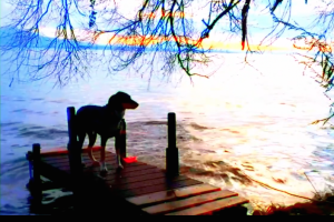 Adieu au Langage, Jean-Luc Godard