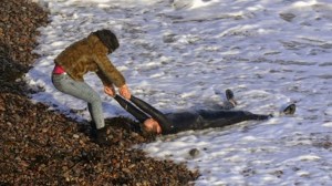 Under the Skin, Jonathan Glazer