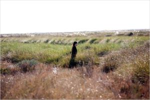 La Isla Minima, Alberto Rodriguez