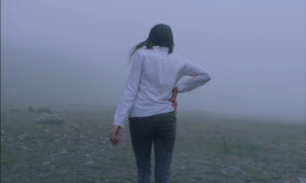 La Région Sauvage, Amat Escalante