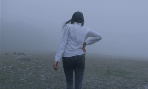 La Région Sauvage, Amat Escalante